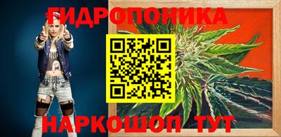 спиды Гагарин