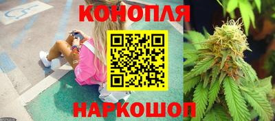 спиды Гагарин
